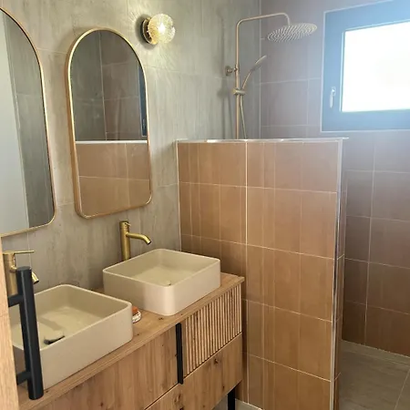 Maison Climatisee Avec Piscine Sur Le Bassin D'arcachon * Biganos